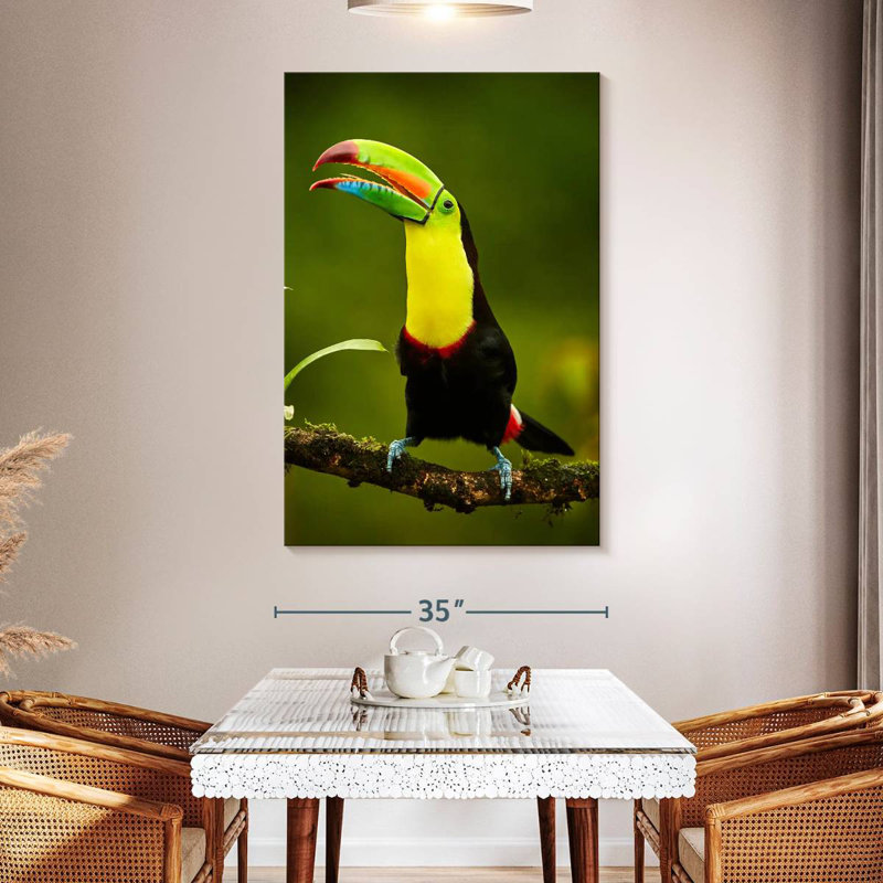 Brampt Rainbow Billed Toucan, 51" H x 34" W