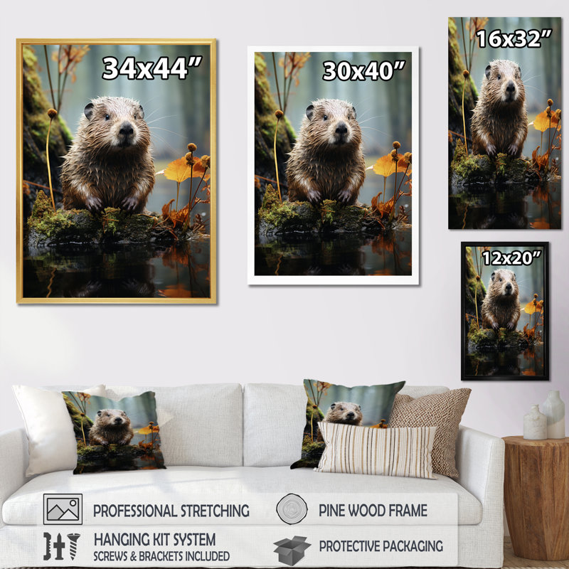 «Augustinas Beaver Animal», photographie sur toile, Naturel, H 32 po x l 16 po x P 1 po
