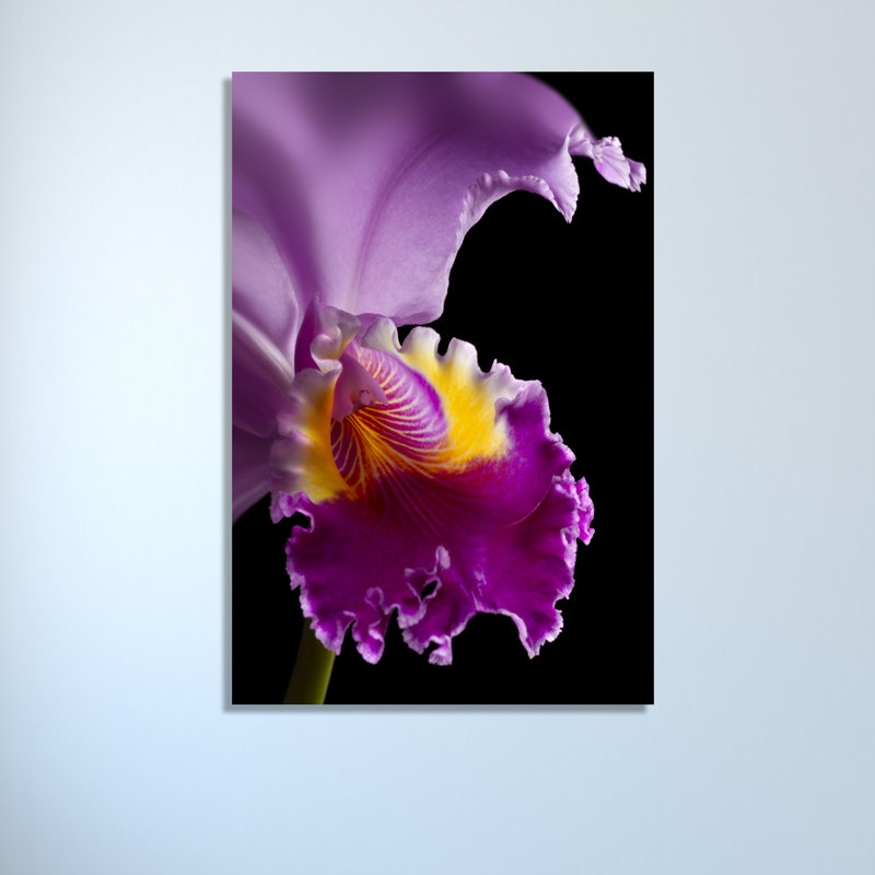 « purple orchidée » par barry seidman, reproduction de photo sur toile tendue, H 42 po x l 28 po x P 1,5 po