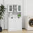 Callasandra Two-Compartment Tilt-Out Dirty Laundry Basket Tall Bathroom Cabinet with 2 Adjustable Shelves