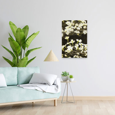 Close-Up Of Flowering Dogwood Flowers On Branches, Atlanta, Georgia, Usa Contemporary Flower Wall Art