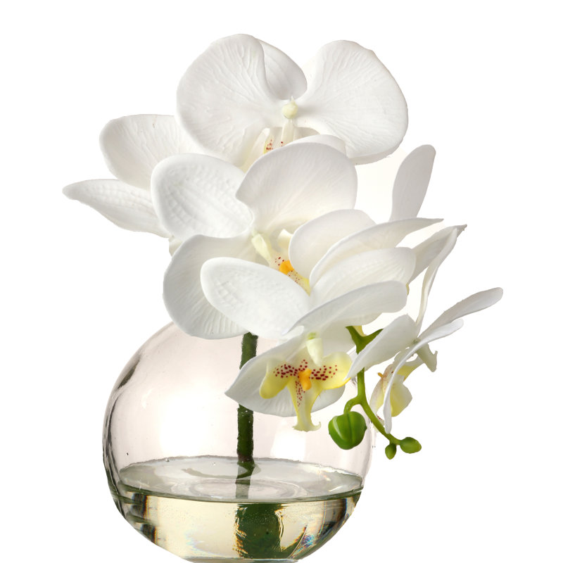 Orchids Arrangement in Jar