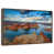 Floating Frame Walnut