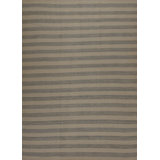 Striped Area Rug in Gray/Beige