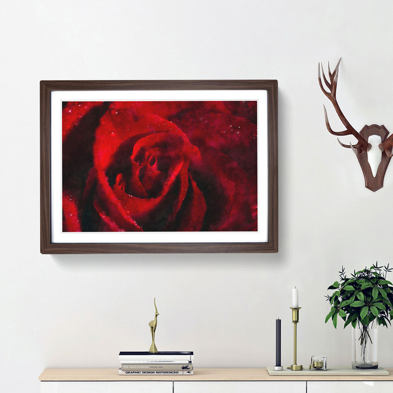 Drops upon a Red Rose - Picture Frame Graphic Art Print, Walnut Framed, 24cm H x 33cm W x 2cm D