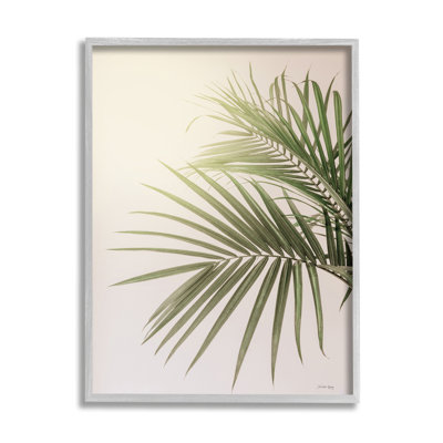«Minimal Palm Leaves Sunlit Tropical House Plant» par Jennifer Rigsby - Photographie de cadre flottant sur toile