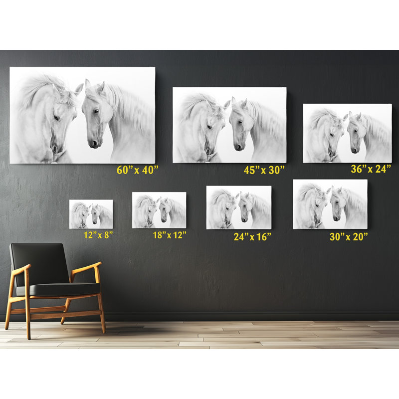 Couple de cheval blanc sur fond blanc, H 16 po x l 24 po x P 1 po
