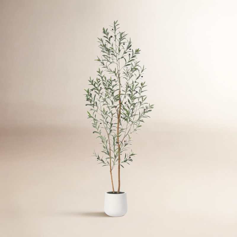 Adcock Artificial Olive Tree with Natural Wood Trunk in White Planter, 84" H x 28" W x 28" D
