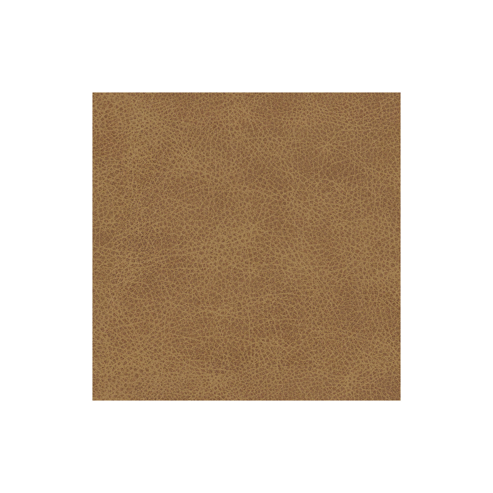 Fletcher Genuine Leather Down Cushion Armchair, Umber Top Grain Leather