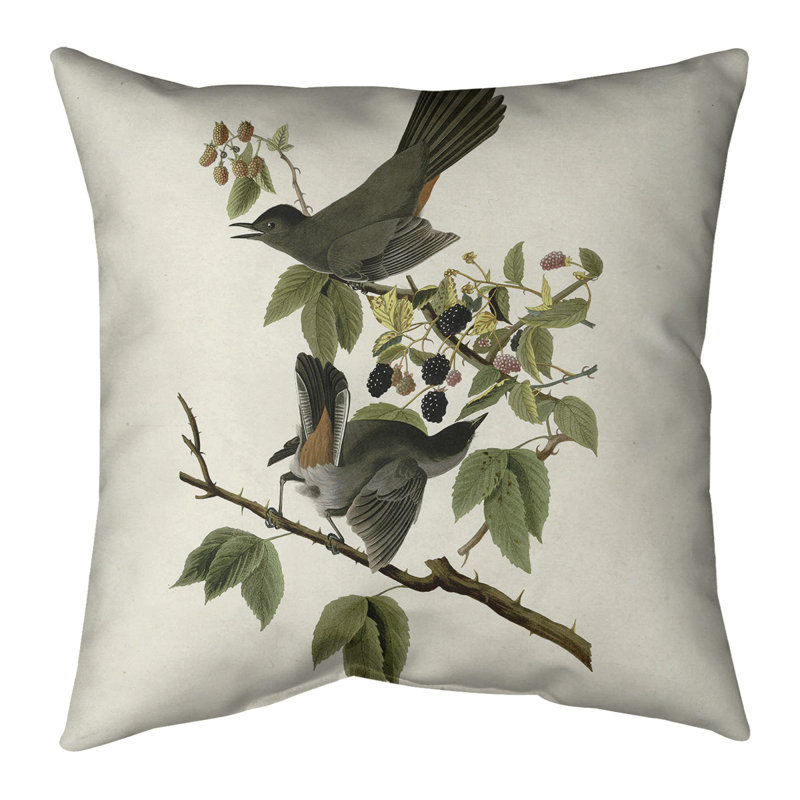Housse et insert de coussin carré John Bird Audubon, Bourre en polyester, Blanc cassé, 18 po x 18 po