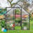 Polycarbonate Heavy Duty Aluminum Frame Greenhouse With Ventilation And Rain Gutter Walk-in Green House for Sunroom Patio Backyard-91026687-107119248
