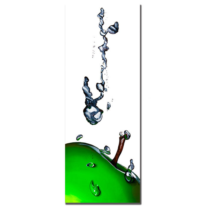 « granny splash ii » par roderick stevens, reproduction de photo sur toile tendue