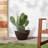 Edgewater Pot Planter-16108024-16108026