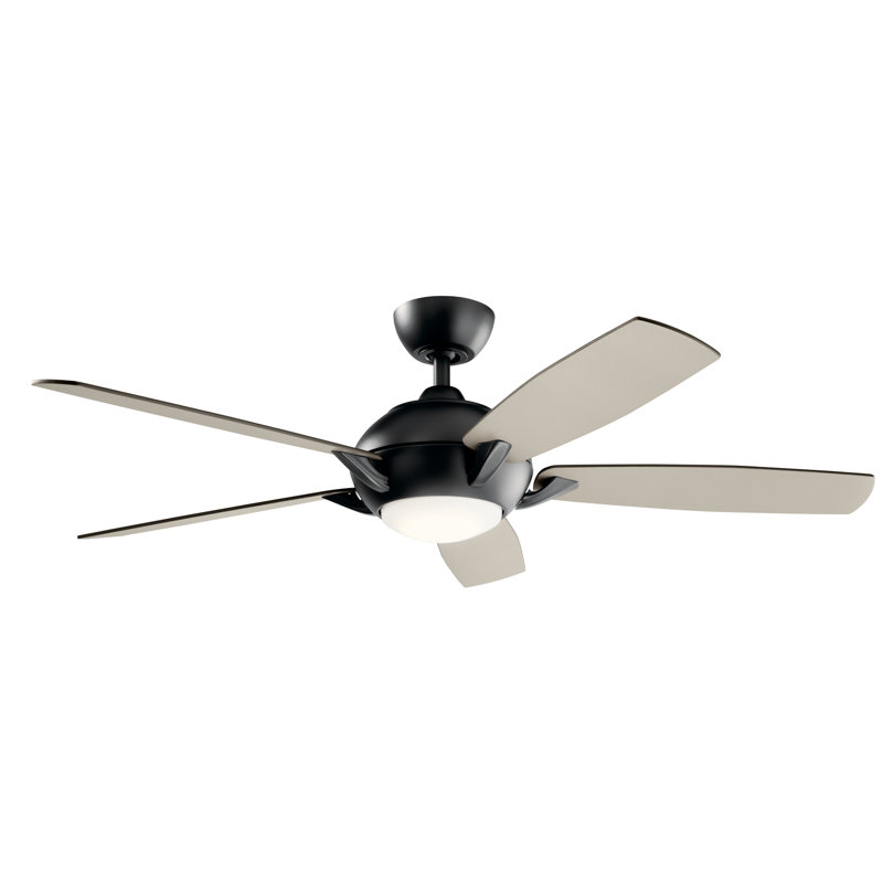 Geno 54'' Ceiling Fan with LED Lights