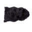 Dooley Novelty 60 cm x 90 cm Area Rug