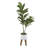 45.75 " H Faux Fiddle Leaf Fig Tree in Ceramic Planter