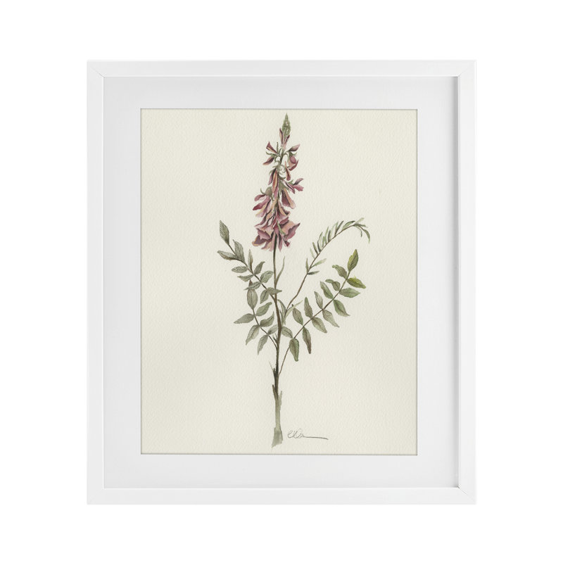 «Nature's Delicate Herb Sprig», reproduction encadrée sous verre, conception de Cady, 16 x 13