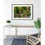 Shakespeare Garden Clover - Picture Frame Photograph on Paper -74856052-87886943
