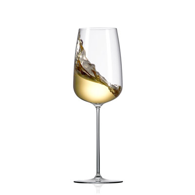 RONA Orbital 17 oz. Wine Glass