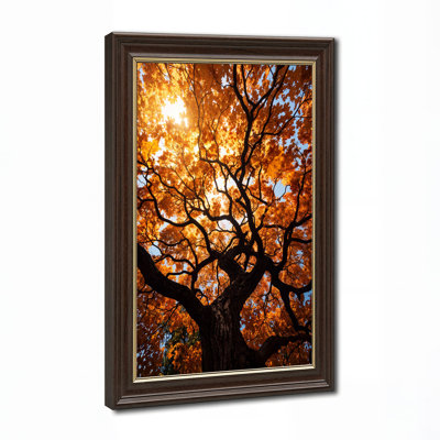 Art mural sur toile, grand tronc d'arbre et feuilles orange rétro-éclairé par le soleil