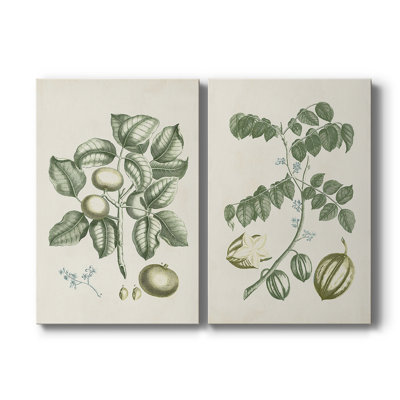 Buchoz Tropicals I-Premium Gallery Wrapped Canvas -Ready to Hang