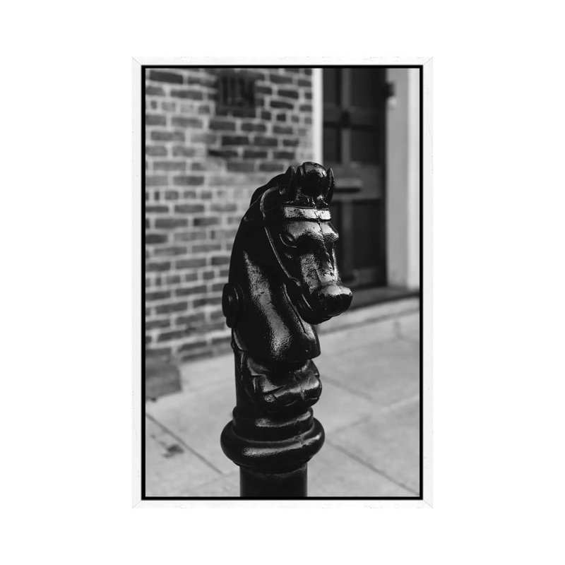 New Orleans Horse by Bethany Young - Print on Canvas, White Framed, 66.04cm H x 45.72cm W x 3.81cm D