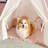 Tiny Land® Play Tent for Kids with Mat