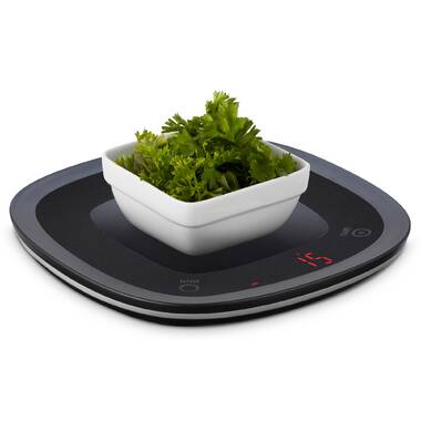 https://assets.wfcdn.com/im/53496712/resize-h380-w380%5Ecompr-r70/5387/53873100/Ozeri+Touch+Waterproof+Digital+Kitchen+Scale.jpg