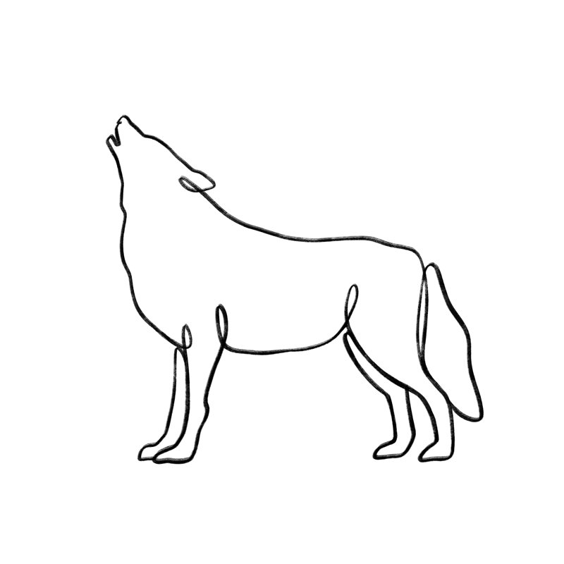 Critter Shape XII by Victoria Barnes - Wrapped Canvas Print, 76cm H x 76cm W x 3.8cm D