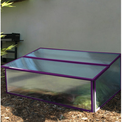 91 cm x 61 cm Frühbeet Templeton