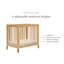 Gelato 4-in-1 Mini Convertible Crib-459939487