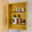 Armoire à pharmacie encastrée en métal 20 po x 30 po avec miroir et tablettes réglables