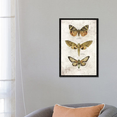 Butterflies VI by Mike Koubou - Print on Canvas