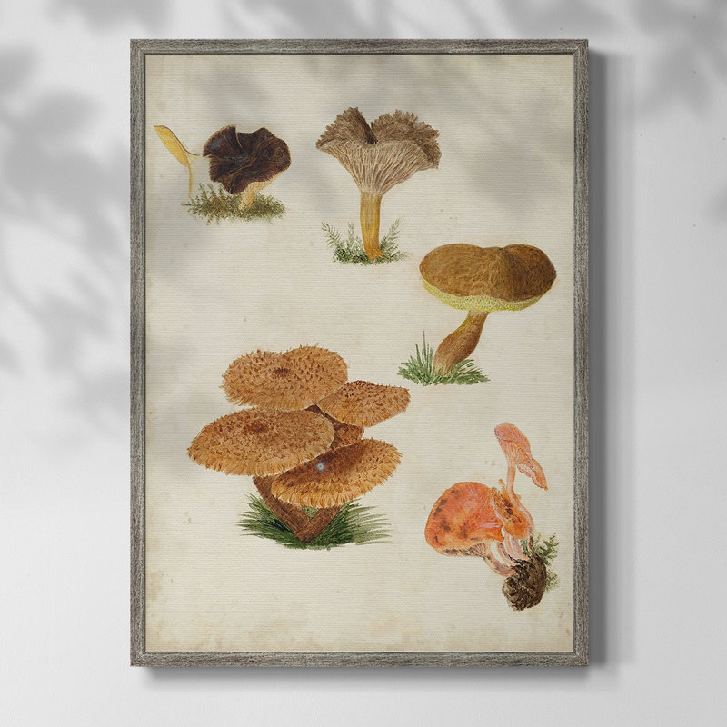 Reproduction encadrée de champignon V - Bois massif, H 15 po x l 12 po