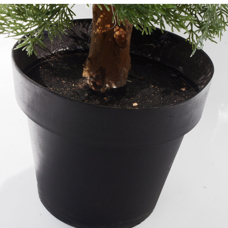 Anlin Faux Cypress Tree in Pot, 130 cm x 55 cm