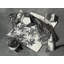 Toile tendue Reptiles par M.C.Escher Gallery-805999351