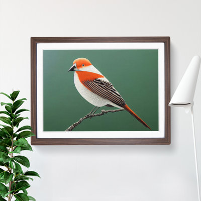 Engaging Bird - Single Picture Frame Print
