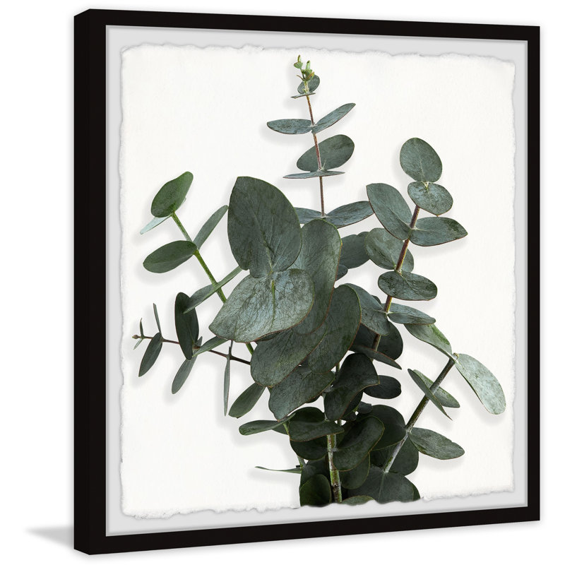 Eucalyptus Leaves - Single Picture Frame Painting, 45cm H x 45cm W x 3.81cm D