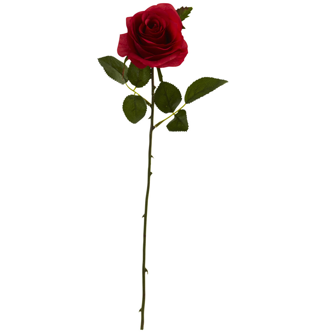 Roses Stem (Set of 24) House of Hampton® Flowers/Leaves 