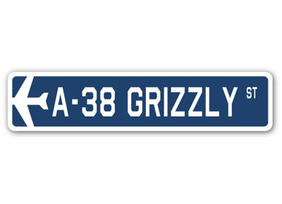 Plaque de rue en aluminium Arney A-38 Grizzly Air Force