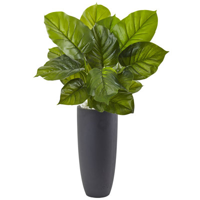 36'' Faux Philodendron Plant in Planter