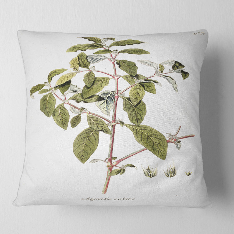 Vintage American Flora IV - coussin traditionnel imprimé, 18" x 18"