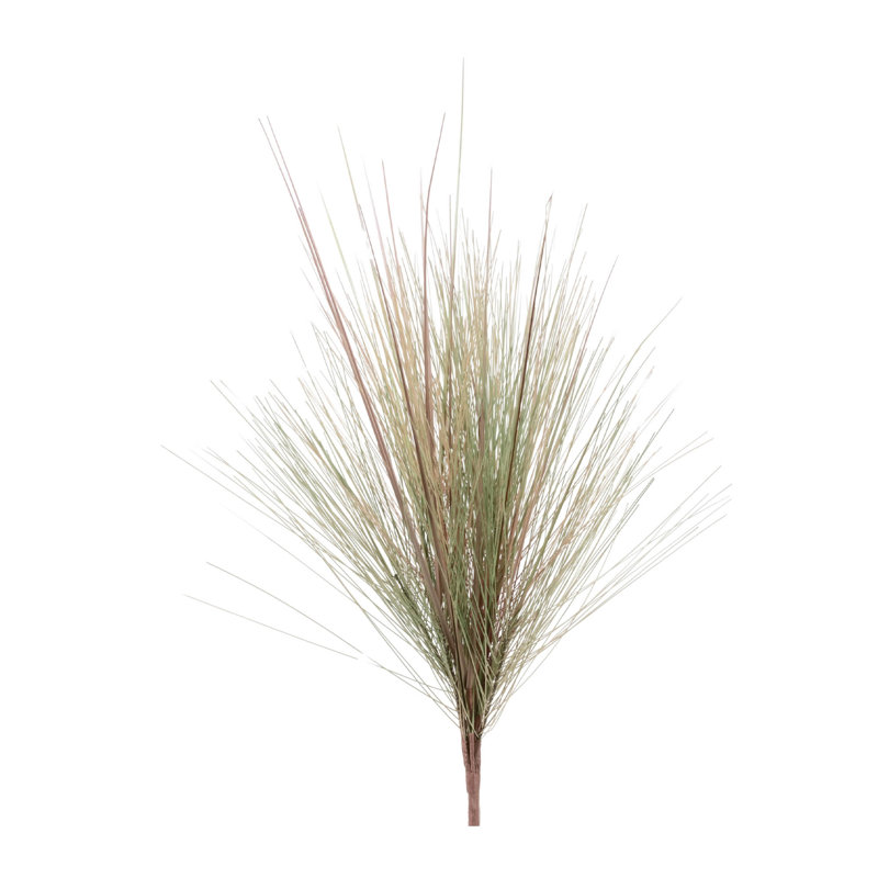 Herbe et feuillage d'herbe
