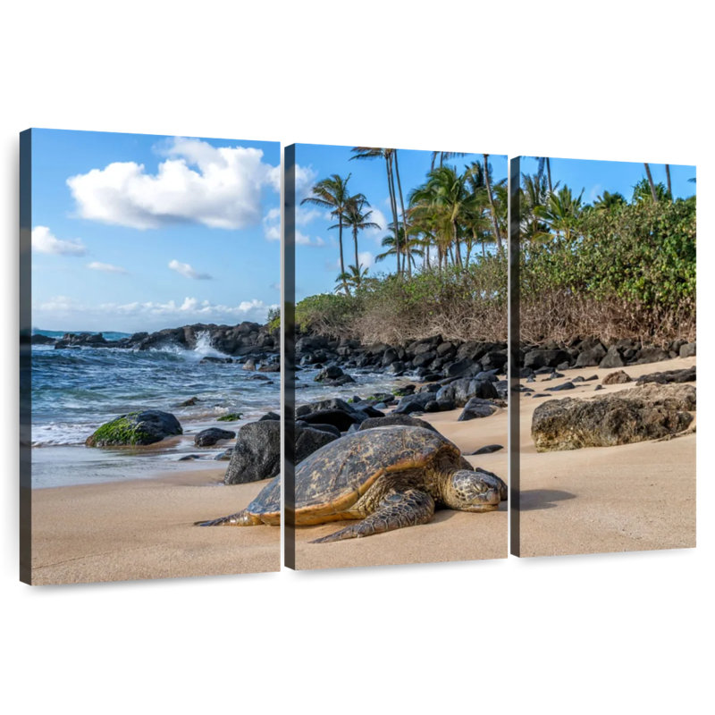 Tortue de mer, île d'Oahu, H 48 po x l 74 po