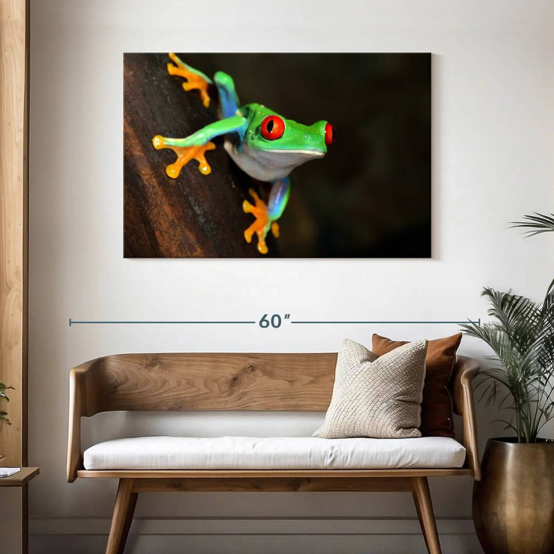 Brampt Tiny Red-Eyed Tree Frog, 30" H x 45" W