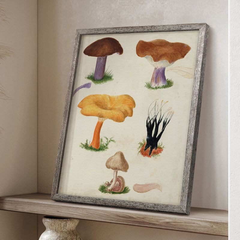 Reproduction encadrée Mushroom Species VII - bois massif, H 11 po x l 9 po