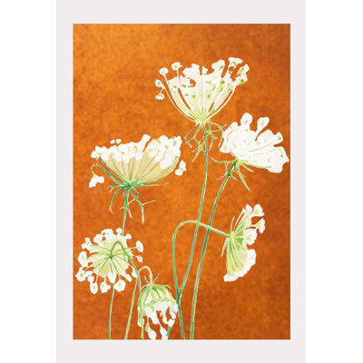 Queen Anne's Lace On Teal Painting by Jessica Hollander