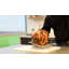 Panier pliable Charbroil The Big Easy