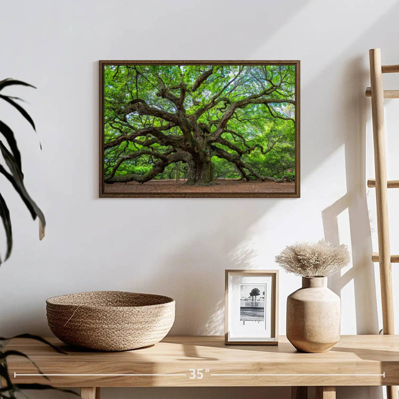 Old Oak Tree, 19" X 13", Floating Frame Walnut
