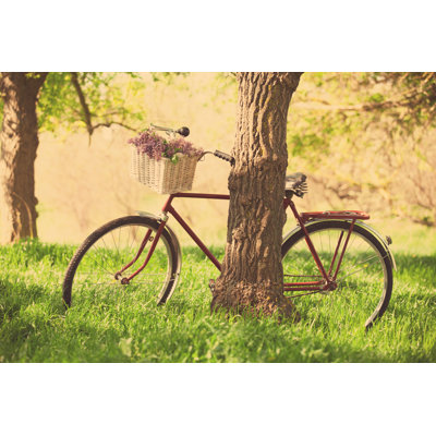 Vintage Bicycle by Massonstock - Wrapped Canvas Print